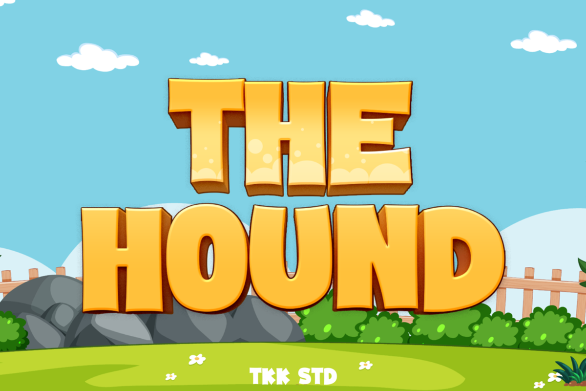 The Hound - Modern Font, a Sans Serif Font by tokokoo (Photo 12 of 12)