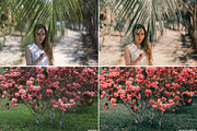 Physalis - Lightroom preset, a Preset Add-On by LovelyPhotoPrints (Thumbnail 5 of 5)