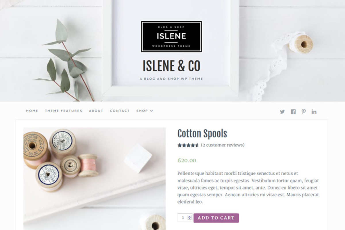 Islene / Blog & eCommerce Theme, a WordPress Template by AlienWP (Photo 2 of 4)