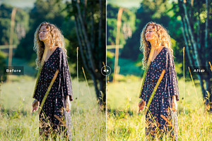 Flavescent Pro Lightroom Presets