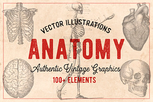 100 Vintage Anatomy Vectors