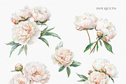 Peony Blush - Watercolor, a Decorative Illustration by ThaismotaCreativeCo (Thumbnail 3 of 11)
