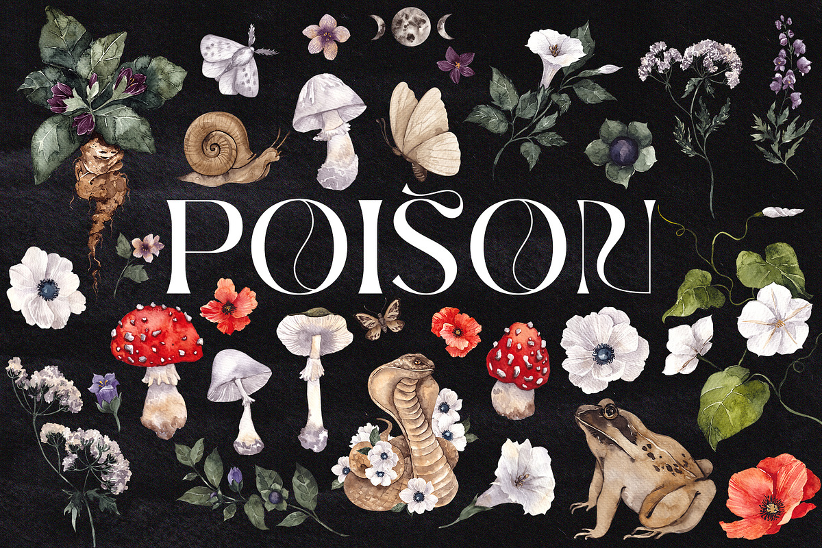 Poison. Watercolor and line art., an Object Illustration by ma_i_vi (Photo 3 of 12)