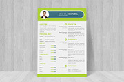 Professional Cv Resume, a Resume Template by designvillage (Thumbnail 11 of 12)