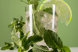 Mojito featuring alcohol, alcoholic, and bar