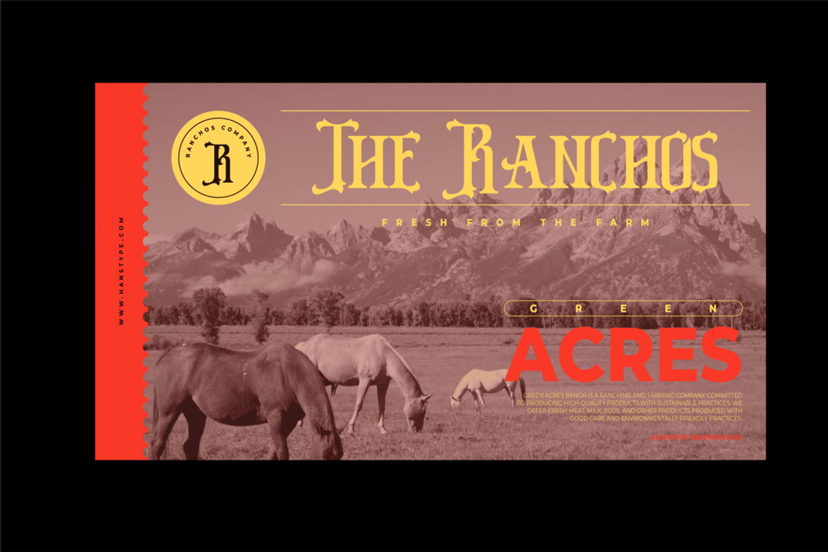 Backtimes - Vintage Display Font, a Font by Hanstype.com (Photo 6 of 9)