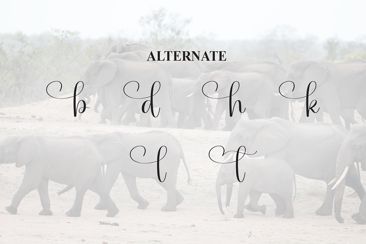 Elephant | Script Font, a Handwritten Font by Scratchones (Photo 8 of 9)