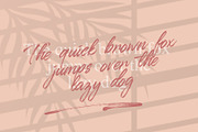 Qillsey Einstein - Handbrush, a Script Font by Monoco Type Foundry (Thumbnail 2 of 12)