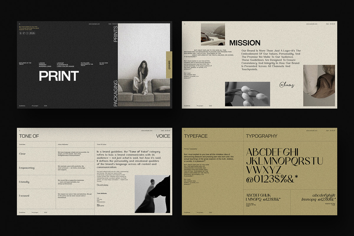 The Brand Guidelines, a Presentation Template by SparkPro (Photo 8 of 14)