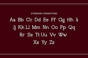 Vinylbuzz - Slab Serif Font, a Serif Font by RockboyStd (Thumbnail 10 of 12)