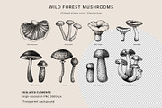 Mushrooms Vector Illustration Bundle, a Food Illustration by Yevheniia (Thumbnail 6 of 8)