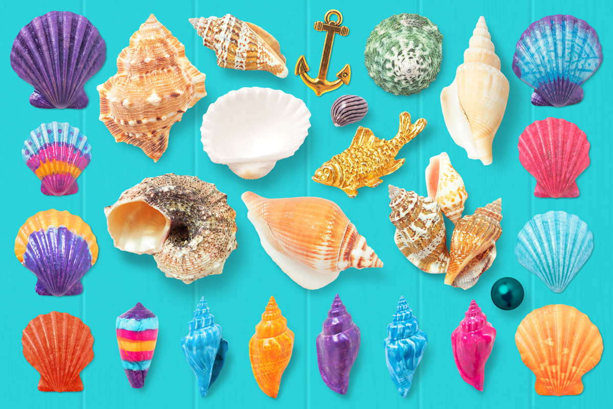 Isolated Seashells & Stones, an Object Graphic by pixaroma