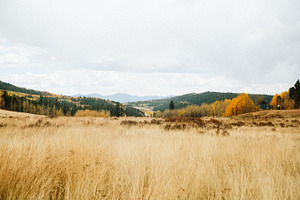 Scenery featuring mountains, golden, and leaves