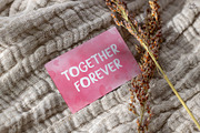 Forever | Handwriting font, a Handwritten Font by LivelyAutumn11.11 (Thumbnail 5 of 5)