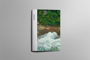 RAINFOREST Brochure / Portfolio