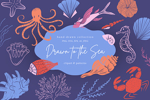Hand-Drawn Marine Clipart & Patterns