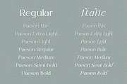 Paseon Simple & Stylish Serif Font, a Serif Font by BOOSH Studio (Thumbnail 7 of 13)