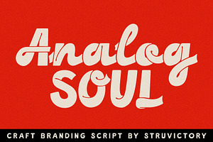 Analog Soul Branding Bold Script, a Script Font by Struvictory.art