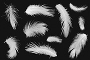 Adobe Photoshop feather brushes, a Brush Add-On by TiveCreate (Thumbnail 2 of 3)