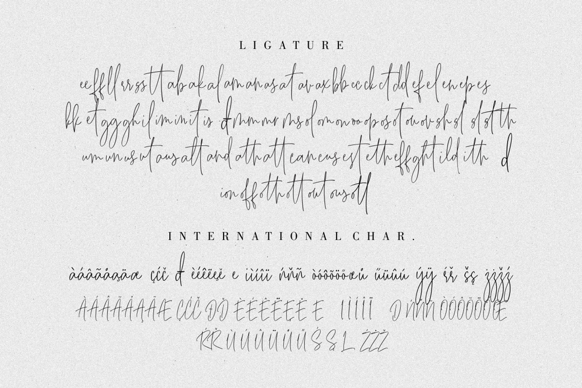 Besties Matthew Signature Wedding, a Script Font by Creatype Studio (Photo 10 of 11)