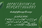 Junglend Bold Handwritten Font, a Script Font by stylishtype.co (Thumbnail 18 of 20)