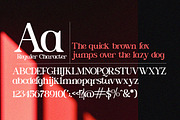 Lubidow – Modern Elegant Serif, a Serif Font by Qweera Studio (Thumbnail 10 of 12)