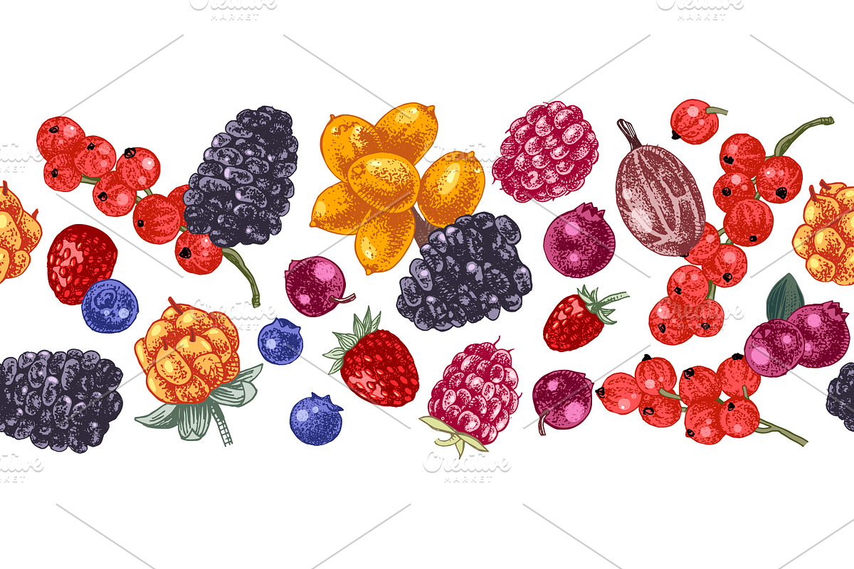 Fresh berries, a Food Illustration by handsketched (Photo 8 of 21)