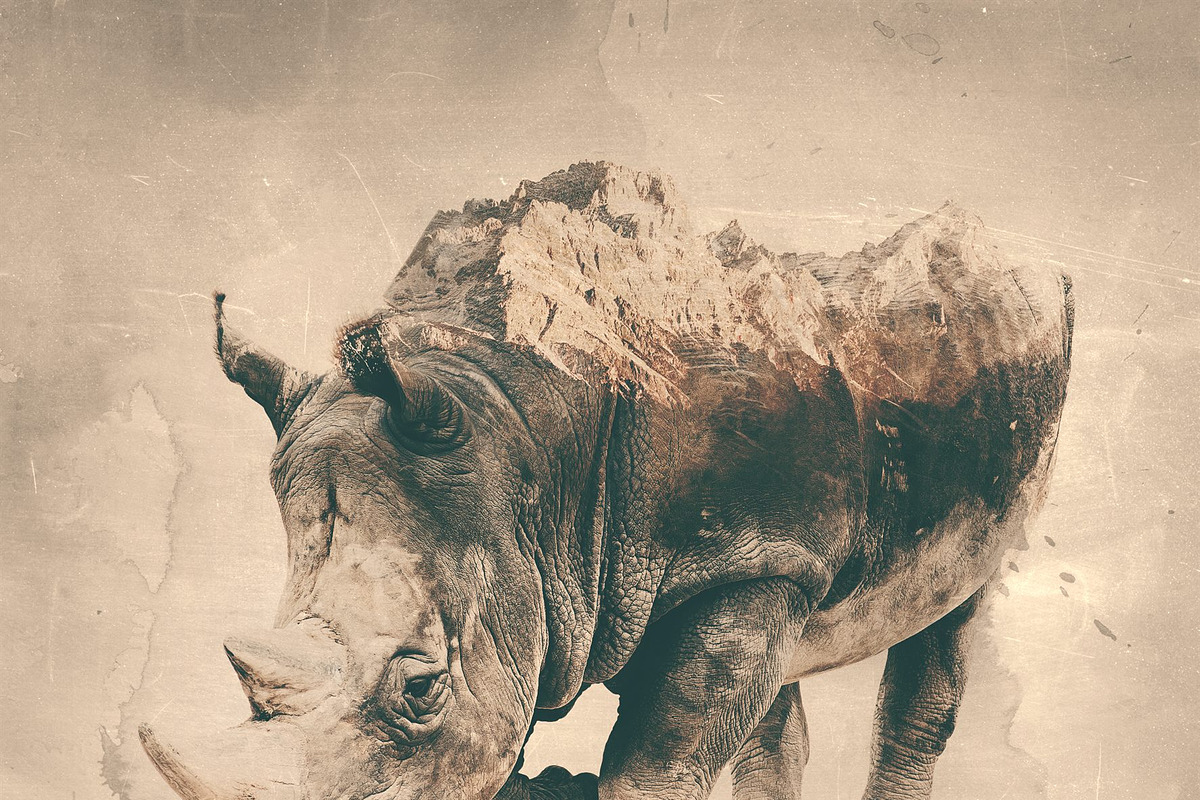 Double Exposure Photoshop Action, an Action Add-On by Sevenstyles (Photo 18 of 21)