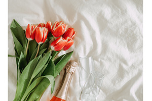 Bunch of red tulip and rose wine on, a Holiday Photo by Fascinadora
