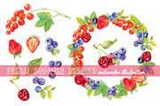 Watercolor summer berries, a Food Illustration by Natasha Koltsova (Thumbnail 2 of 2)