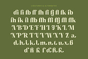 Buffery Reflika Modern Bold Serif, a Serif Font by timelesstype.co (Thumbnail 18 of 20)