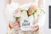 Portabella Font Collection, a Script Font by Callie Rian & Co. (Thumbnail 2 of 19)