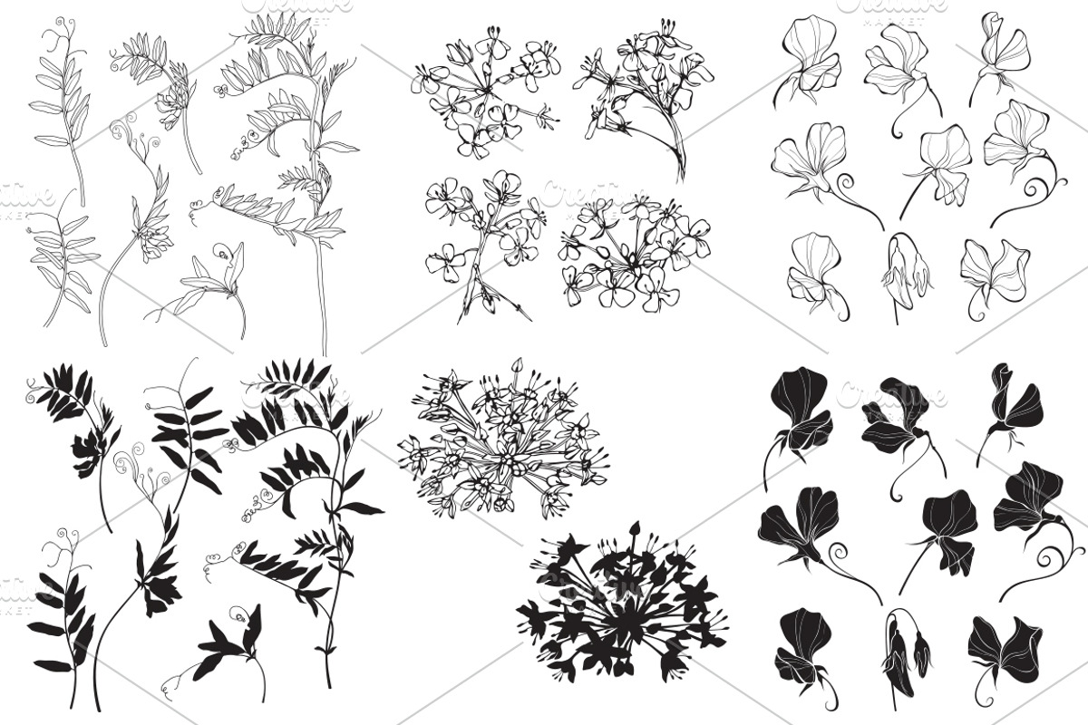 Wildherbs and flowers., an Object Graphic by maritime_m (Photo 7 of 8)