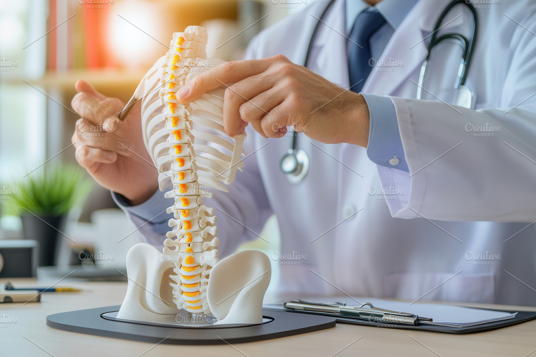 Doctor explains spine with model, a Photo by Pavel_design