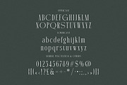 Martin Langley Elegant Serif, a Serif Font by Cruzine (Thumbnail 5 of 8)
