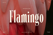 Flamingo Elegant Serif Font, a Serif Font by Perfectype (Thumbnail 1 of 8)
