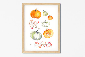 Pumpkins. Watercolor Painting