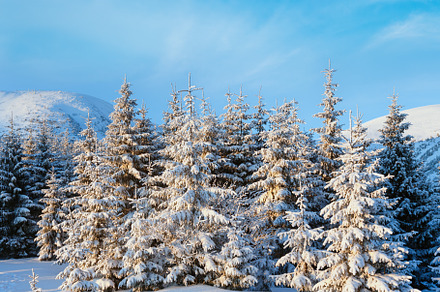 Sunrise winter mountain landscape, a Nature Photo by YuriyB