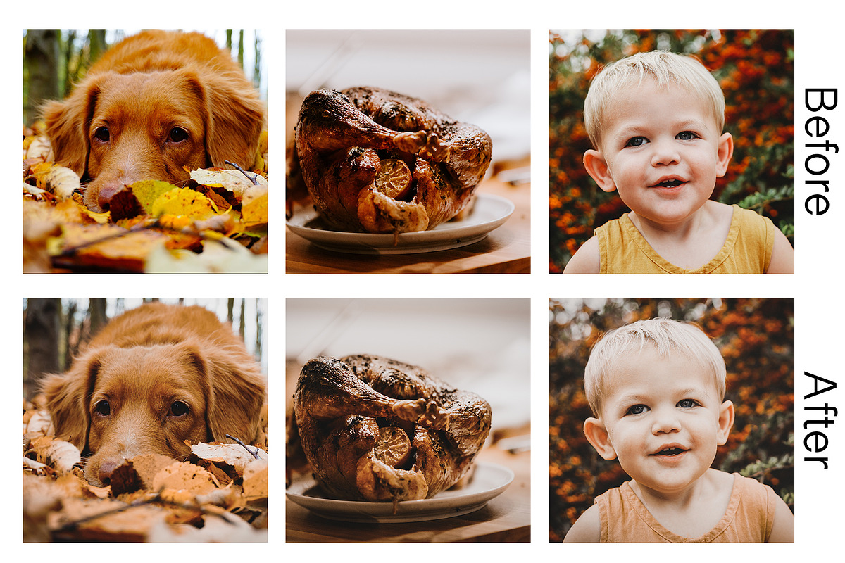 Lightroom Mobile - Pumpkin, an Action Add-On by Design Aesthetic (Photo 3 of 9)