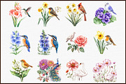 Birth Flowers & Birth Birds Set, an Illustration by Sublimation Artist (Thumbnail 3 of 6)