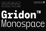 Gridon - Geometric Display Typeface, a Sans Serif Font by roomspace creative lab (Thumbnail 1 of 10)