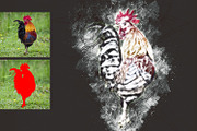 Realistic Pencil Sketch Photoshop, an Action Add-On by MRI STUDIO (Thumbnail 13 of 17)