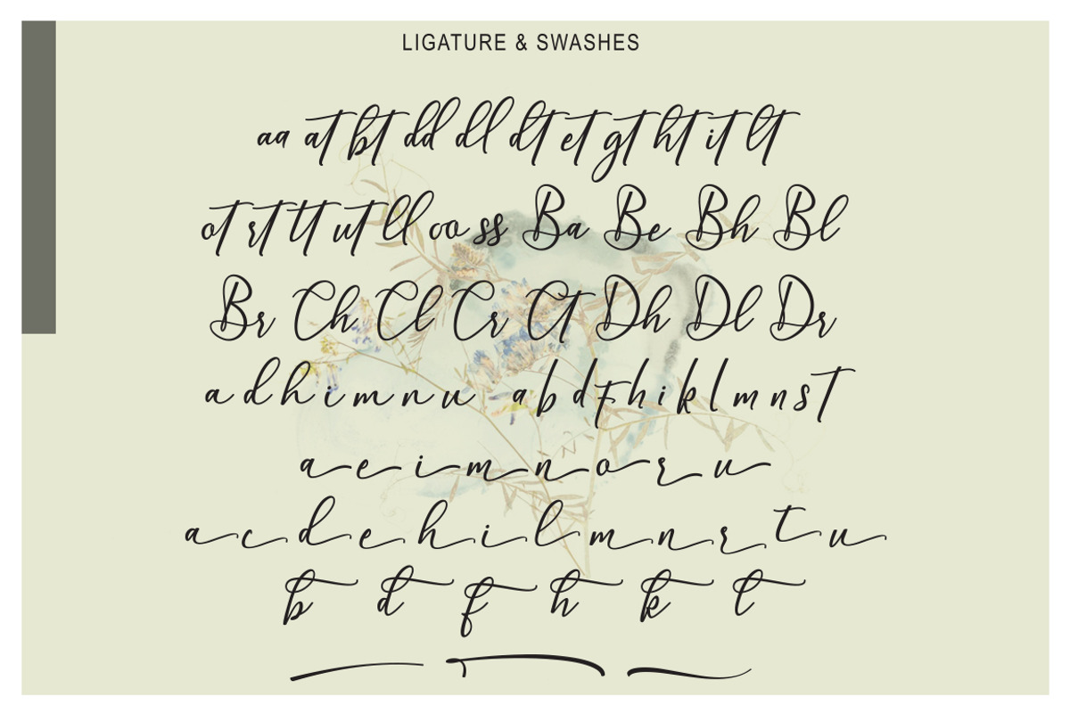 Wellington, a Script Font by MSG Studio (Photo 9 of 9)