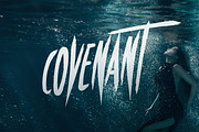Covenant - Brush Font, a Script Font by Tugcu Design Co. (Thumbnail 1 of 6)