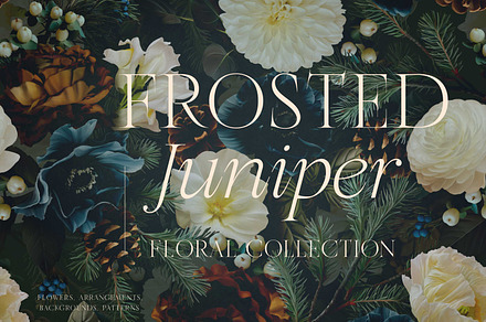 Juniper Winter Floral Graphics