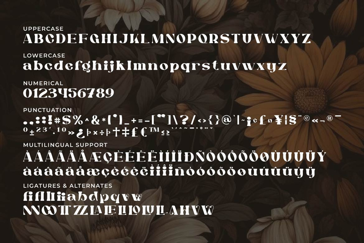 Enagola – Retro Serif Font, a Serif Font by Artiveko (Photo 2 of 6)
