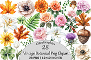 Vintage Botanical Clipart, an Illustration by CitraGraphics (Thumbnail 1 of 4)
