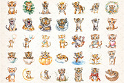 Watercolor Tiger Clipart Bundle, an Illustration by DreamCafeArt (Thumbnail 2 of 7)