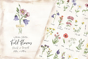 Watercolor Field Flowers Collection, a Decorative Illustration by MayaNavits (Thumbnail 1 of 16)