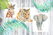 Watercolor animals, leafs, birds, an Animal Illustration by Watercolor arts (Thumbnail 1 of 6)